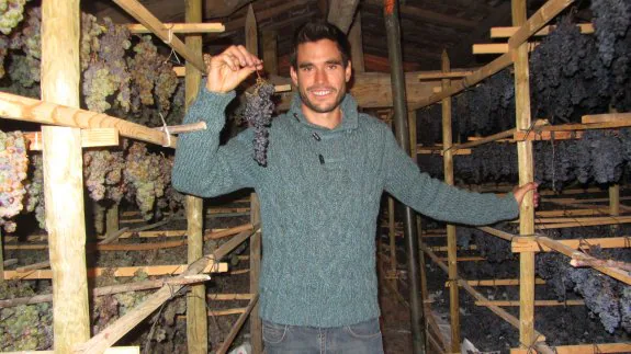 Miguel Martínez muestra uno de los racimos de uva que tiene colgados para que se pasifiquen en Sojuela. :: p.h.