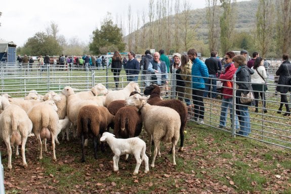La localidad celebra cada año una feria de ganado. :: albo