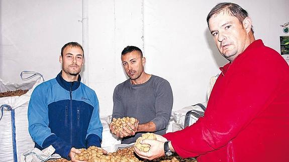 Agricultores queleños en la cooperativa del Cidacos.