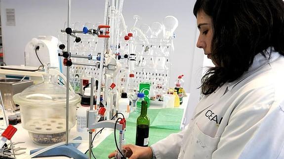 Trabajo de investigación en un laboratorio. 