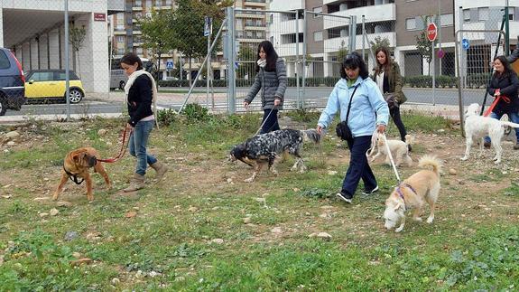 Logroño es canino