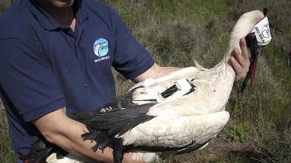 Yerga fallece en el desierto