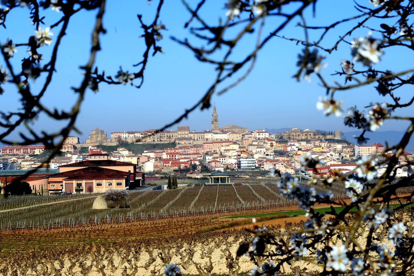 Museo Vivanco en prmer término frente a Briones. 