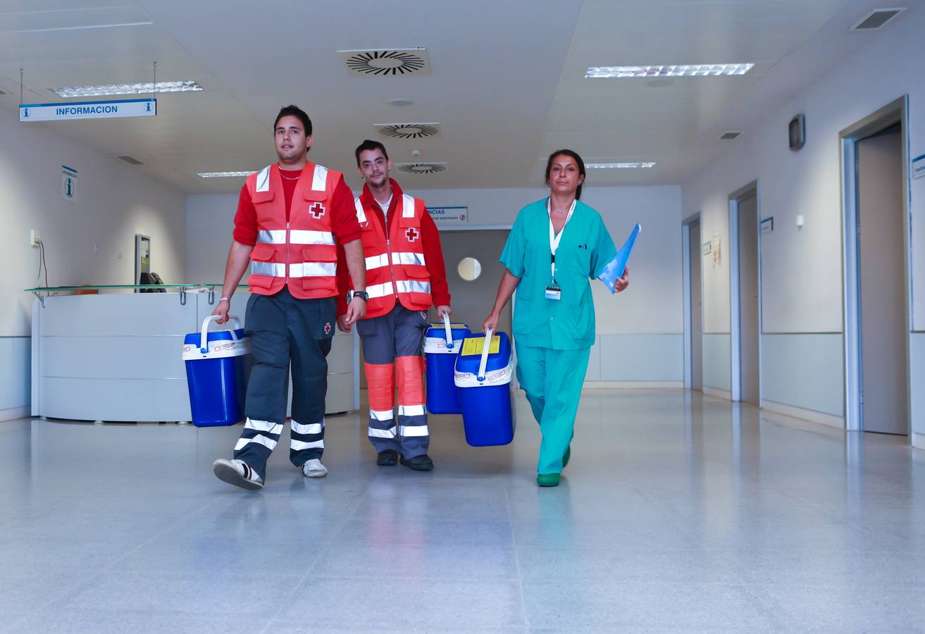Transporte de órganos por personal sanitario. 