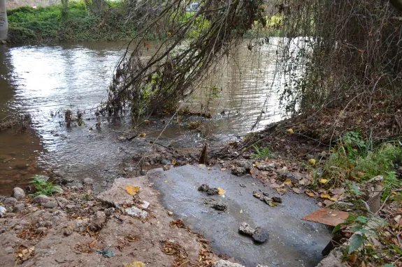 Vista del sobradero de aguas residuales al río Najerilla denunciado por la CHE. :: p.j.p.