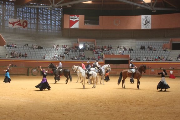 El Arnedo Arena acogió un espectáculo en el que caballos, jinetes y aficionadas arnedanas compartieron baile andaluz. :: E.P.