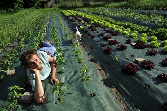 La huerta mágica