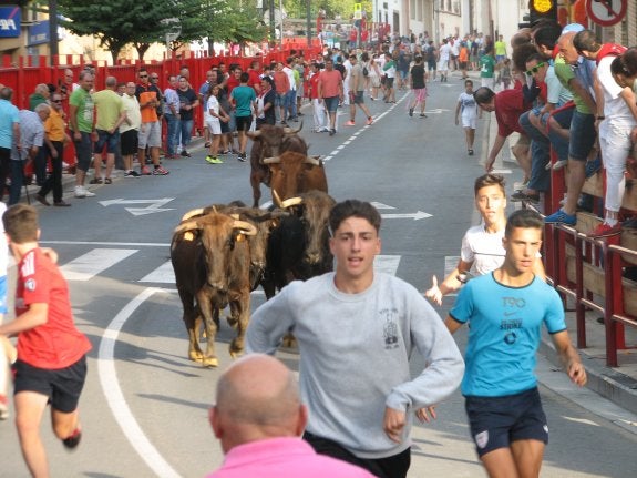   Velocidad. La jornada de ayer tuvo dos encierros de vacas.