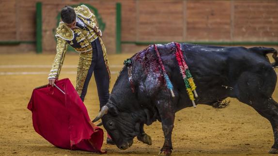 Alejandro Gardel corta la primera oreja del Zapato de Oro