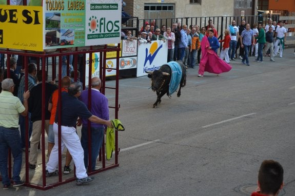 En la penúltima suelta de reses bravas se colocó un 'manto institucional de Arnedo' a un toro al que los mozos intentaron recortar. :: 