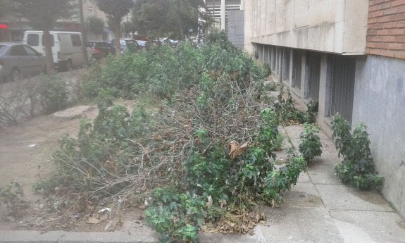 El edificio de sindicatos, una selva