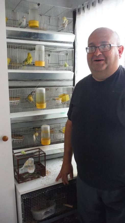 Antonio Arnedo muestra las jaulas con distintas aves que tiene en su balcón. En el detalle, las crías de codorniz que nacieron hace poco. 