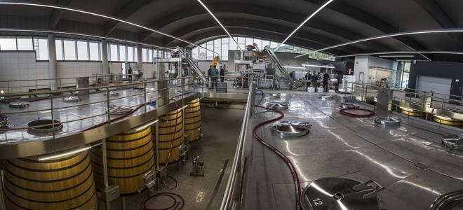 Espectacular imagen de la nave de elaboración. A la derecha, la entrada de las uvas que, enfriadas previamente en cámaras refrigeradoras de la pared norte, pasan a la mesa de selección manual y luego a la cinta de selección de grano despalillado; de ahí, van a los OVIs de 500 kilos y, poco a poco, a los depósitos de fermentación, de madera para el Macán y de acero inoxidable para el Macán Clásico.