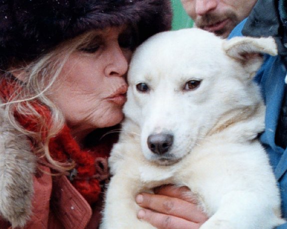 Bardot besa a un perro en una imagen de archivo. :: reuters
