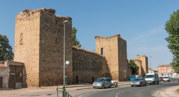 Nidos de cigüeña en el lienzo amurallado de Santo Domingo de la Calzada. :: 