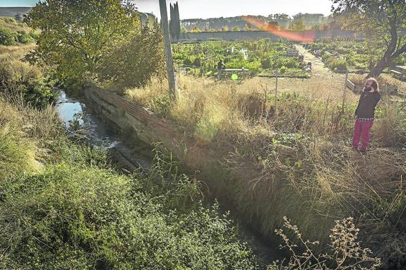 Aspecto que presentaba la canalización por donde sale el vertido de Oyón el pasado viernes, agua blanquecina, con espuma y mal olor junto a los huertos sociales de Logroño. 