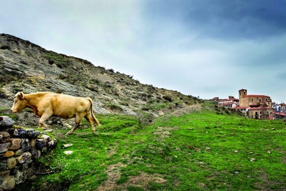 San Román de Cameros