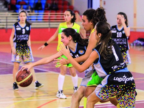 Varias jugadoras luchan por el control del balón. :: F.D.