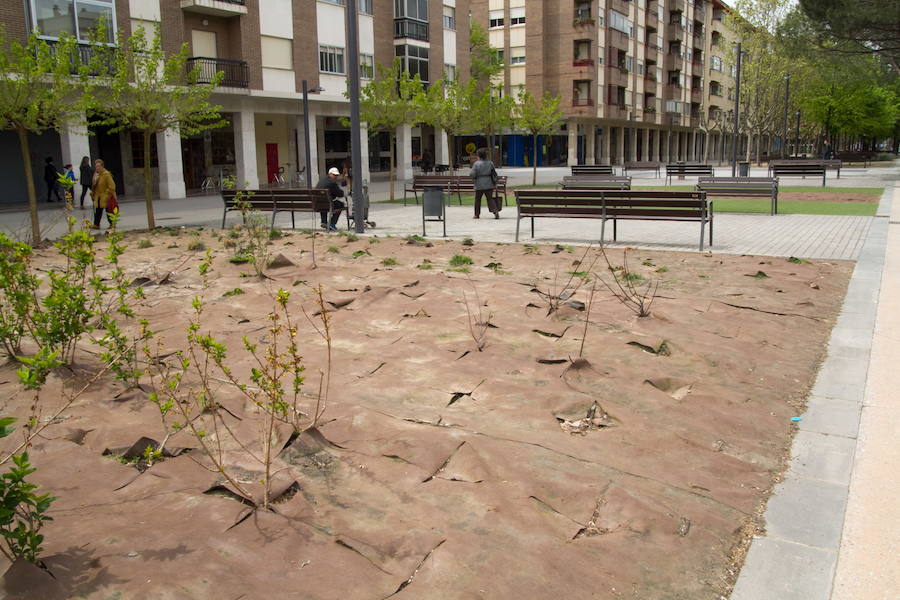 Aspecto de una de las áreas de la Plaza Primero de Mayo de Logroño. 