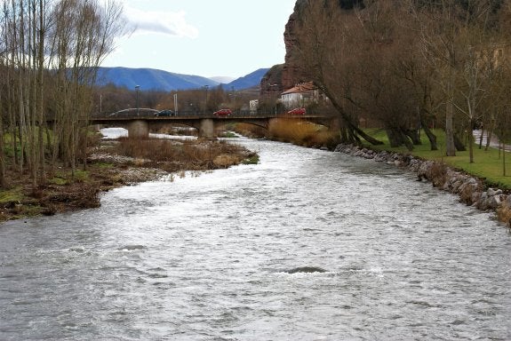 Los vertidos de la depuradora al río Najerilla, la principal preocupación municipal. :: 