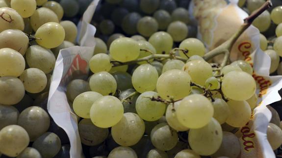 La UAGR urge la creación de un Observatorio de Precios del vino y de la uva