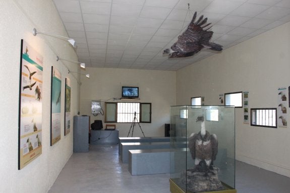 El Mirador del Buitre abre una ventana al ave sobre el Cidacos. :: 