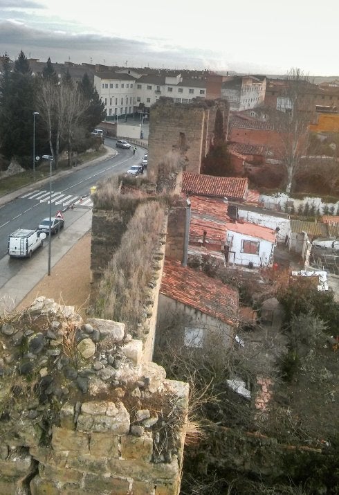 Panorámica de la muralla de la avenida de Burgos, sin nidos. :: a. m.