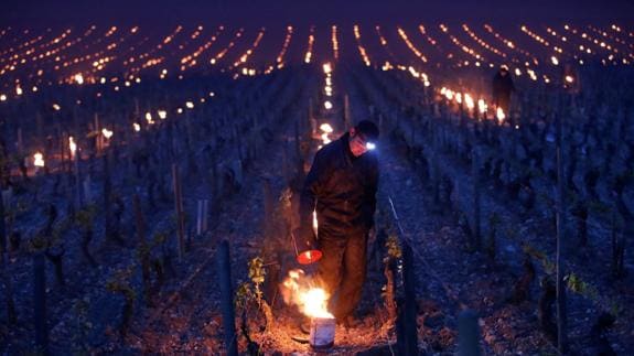 Fuego contra el hielo en los viñedos de Francia