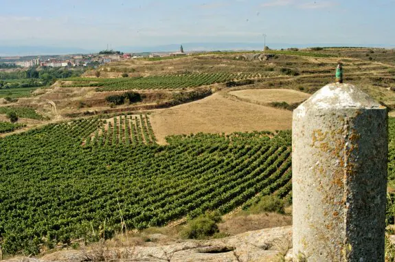 Haro, al fondo, desde el meandro Tondón, con un paisaje del viñedo en medio. :: D.M.A.
