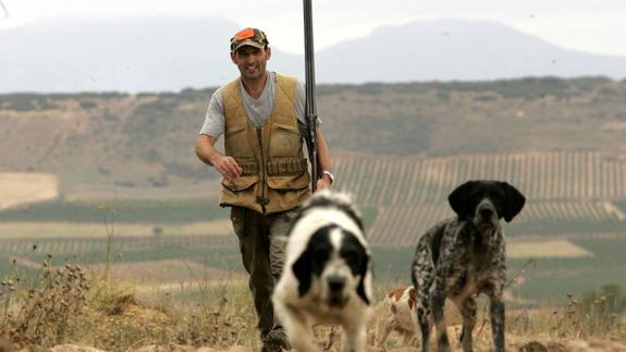 Un cazador camina por el campo con sus perros. 
