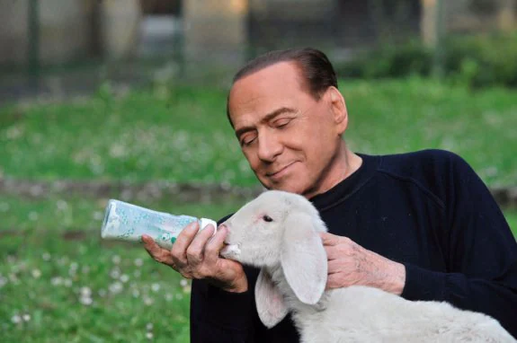 Berlusconi alimenta con un biberón a uno de los corderos que adoptó en Semana Santa. :: reuters