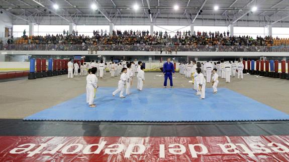 La Fiesta del Deporte de Logroño acogerá 19 exhibiciones y 600 participantes