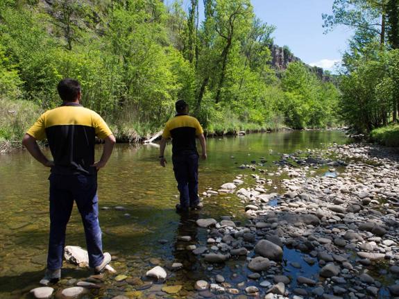 El Iregua, a su paso por Torrecilla, ha visto como buena parte de su cauce se ha quedado sin agua.