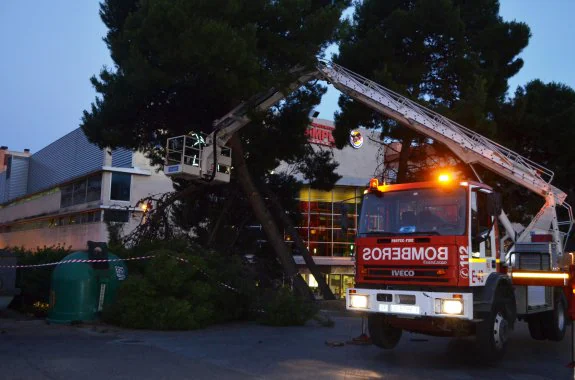 Trabajos de los bomberos para retirar la rama seca. 