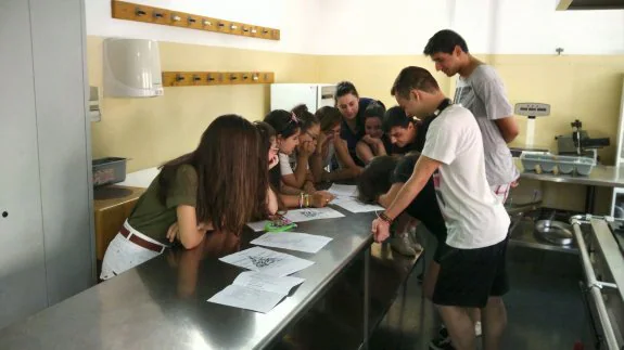 Aprender a cocinar y a descubrir los alimentos más saludables es otra de las tareas de estos particulares cursos de cocina. :: 