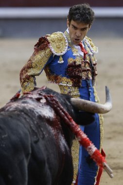 José Tomás piensa en Logroño