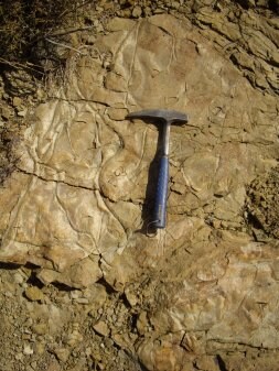 Arriba, yacimiento descubierto en San Vicente (centro) y fósil del tipo de pez al que se atribuyen las huellas (foto facilitada por D. Berthet, conservador del Museo de Ciencias Naturales de Lyon). / L.R.