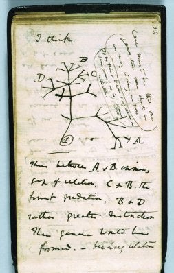 Recuperan en facsímil el 'Origen de las especies', en el bicentenario de Darwin