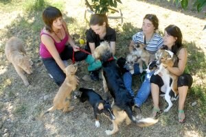 Responsables de Animales Rioja, con parte de los 30 perros que el 28 de agosto enviarán a Alemania para su adopción. /ALFREDO IGLESIAS