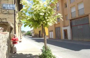 Ningún niño ha sido censado en 26 municipios riojanos durante la última década