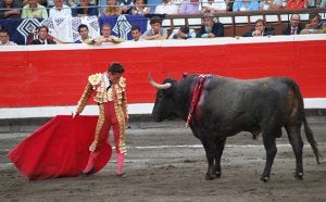 Premio a la torería