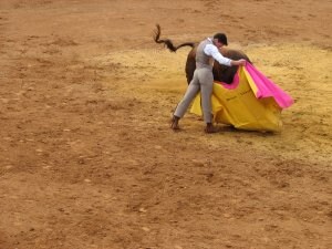 Una verónica mecida; así toreó Diego Urdiales en un tentadero de machos de la ganadería de Carriquiri. ::                             JOSÉ MARÍA SOTOMAYOR