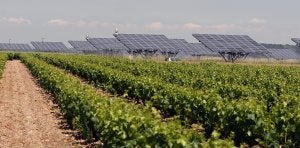 Imagen del huerto solar situado en Canillas de Río Tuerto, en el que participaría la sociedad de Muñoz, Narrauri Varia Inversiones. ::                             DÍAZ URIEL