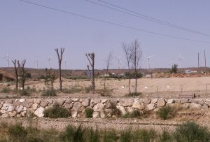 Estado en el que quedó el soto después de ser arrasado. ::
E.A.