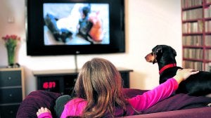 Un perro y su dueña contemplan la emisión del nuevo canal.
::
DOGTV