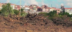 Estado en el que quedó el soto del sector Cidacos, arrasado por la empresa 'Lázaro Conextran'. Al fondo, la ciudad de Calahorra ::                         E. ACCIÓN.