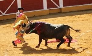 El diestro recibió dos cornadas, una en la ingle y otra cerca de la barbilla. ::
CARMELO BAYO