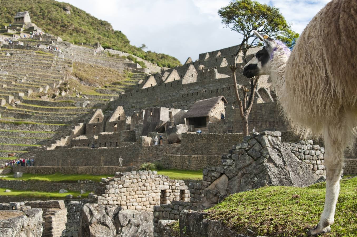 La vida en el perú andino