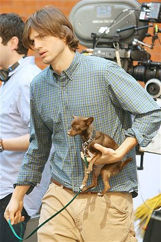 Ashton Kutcher. 