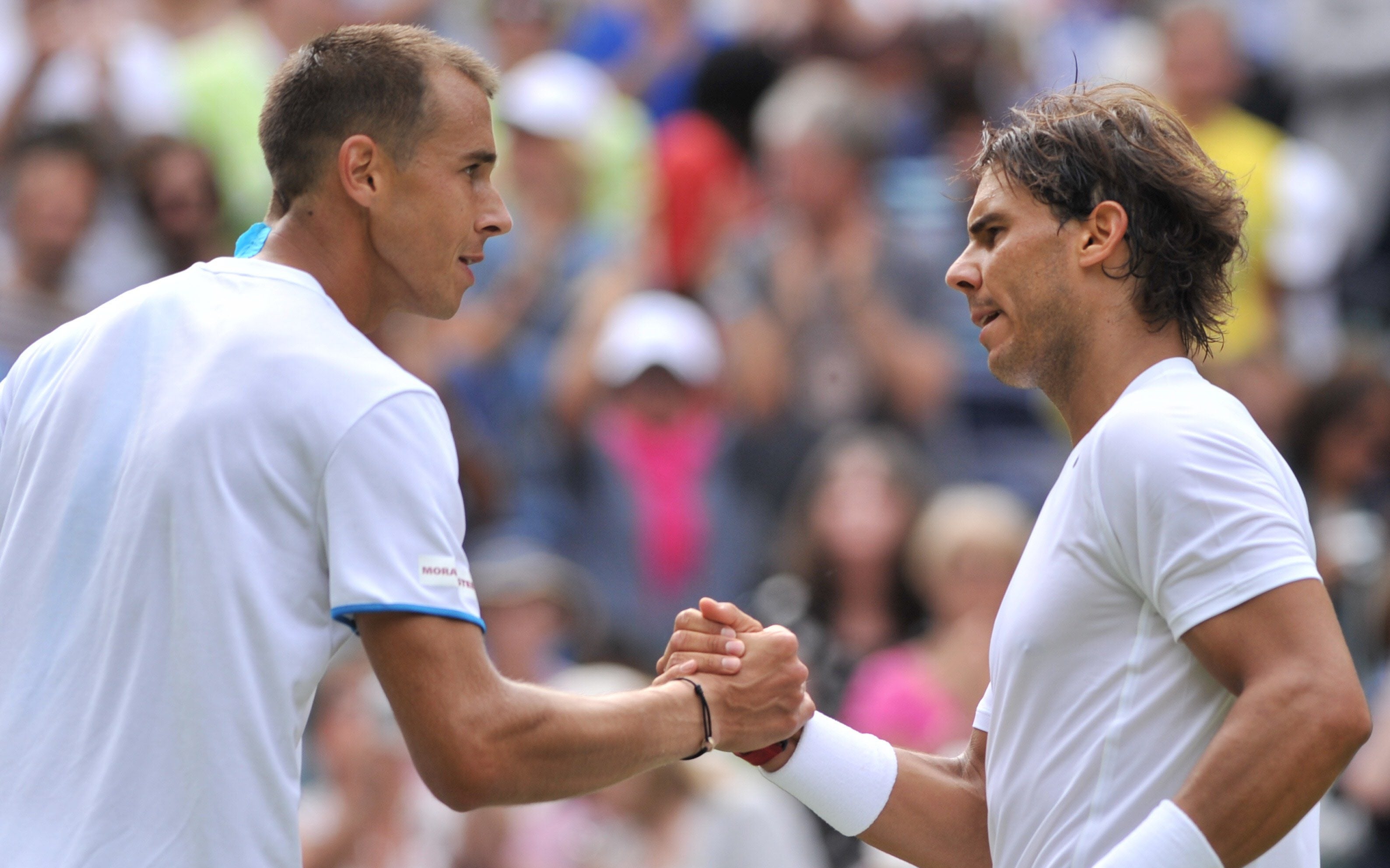 Saludo final entre Rosol y Nadal.